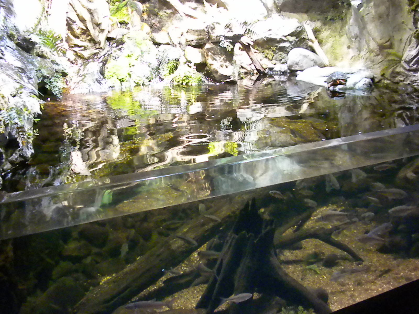 Maryland: Mountains to the Sea