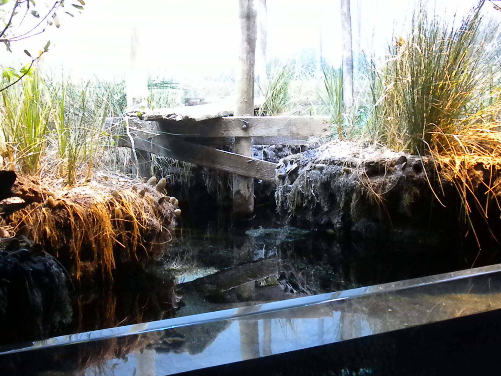 Maryland: Mountains to the Sea