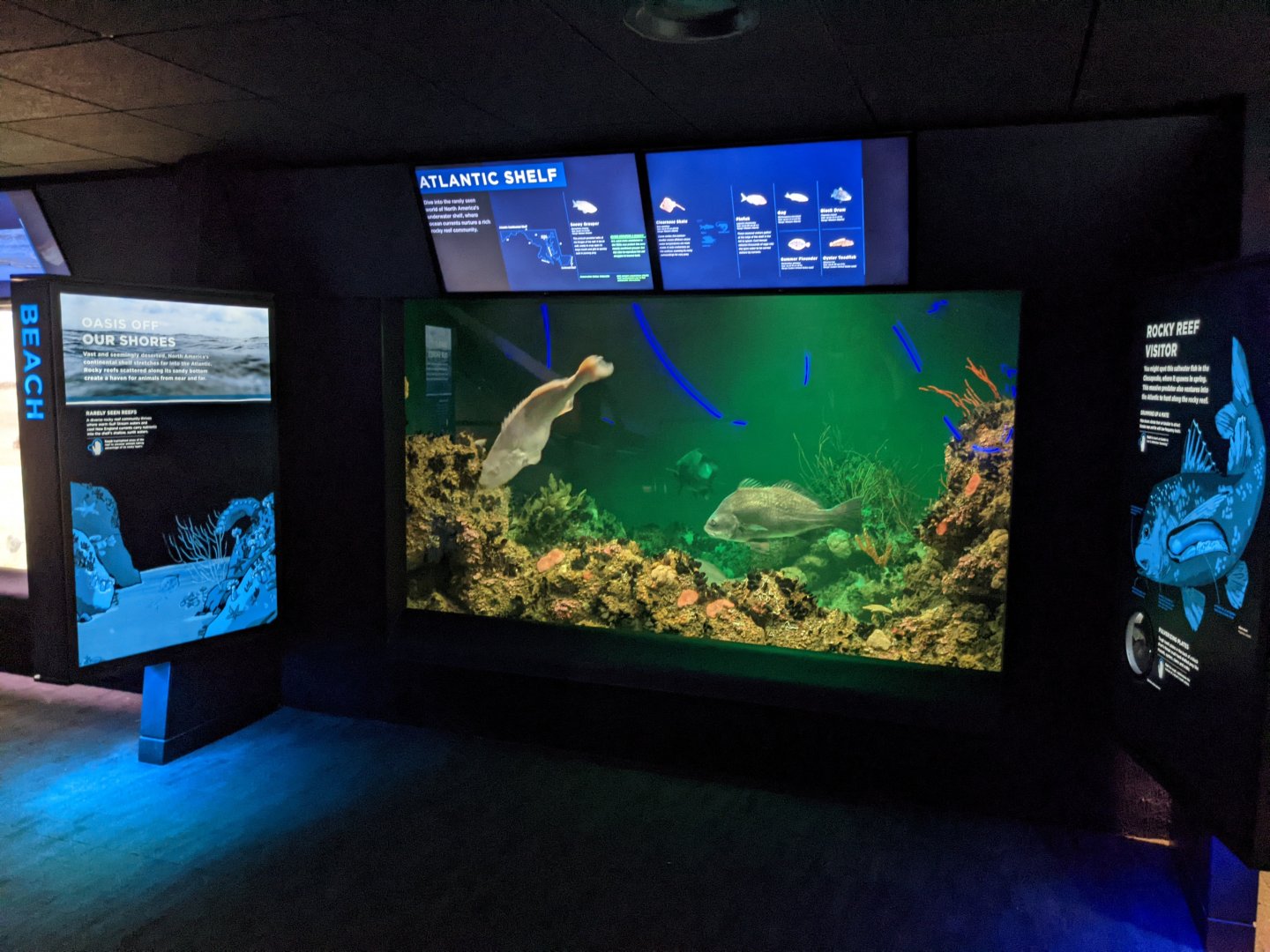 Maryland: Mountains to the Sea