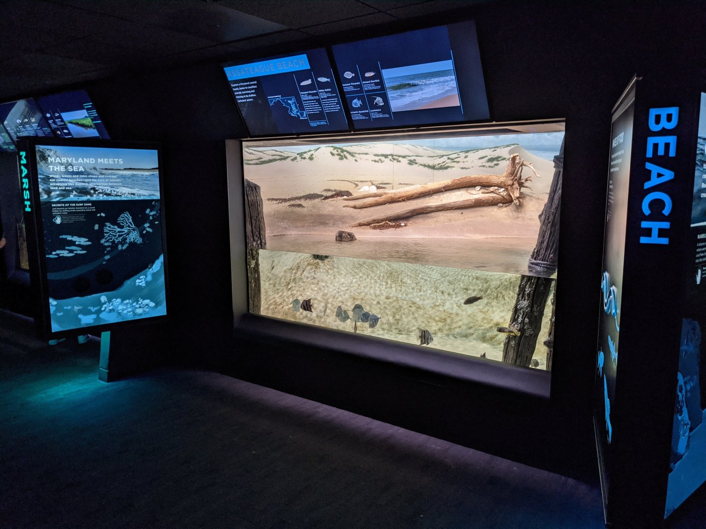 Maryland: Mountains to the Sea