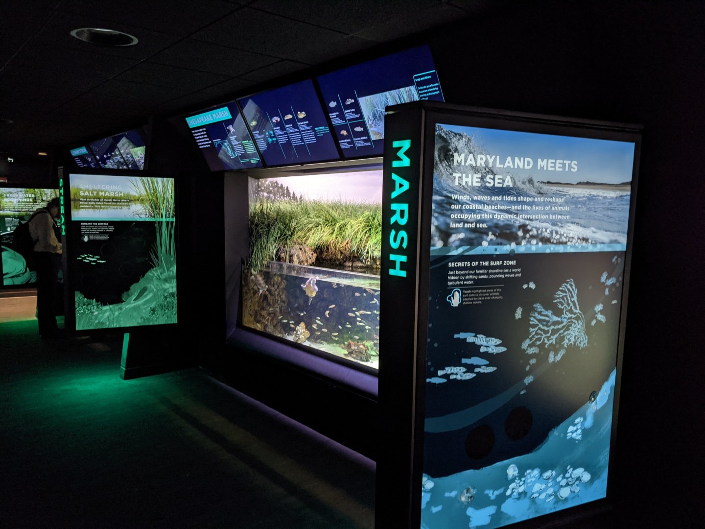 Maryland: Mountains to the Sea