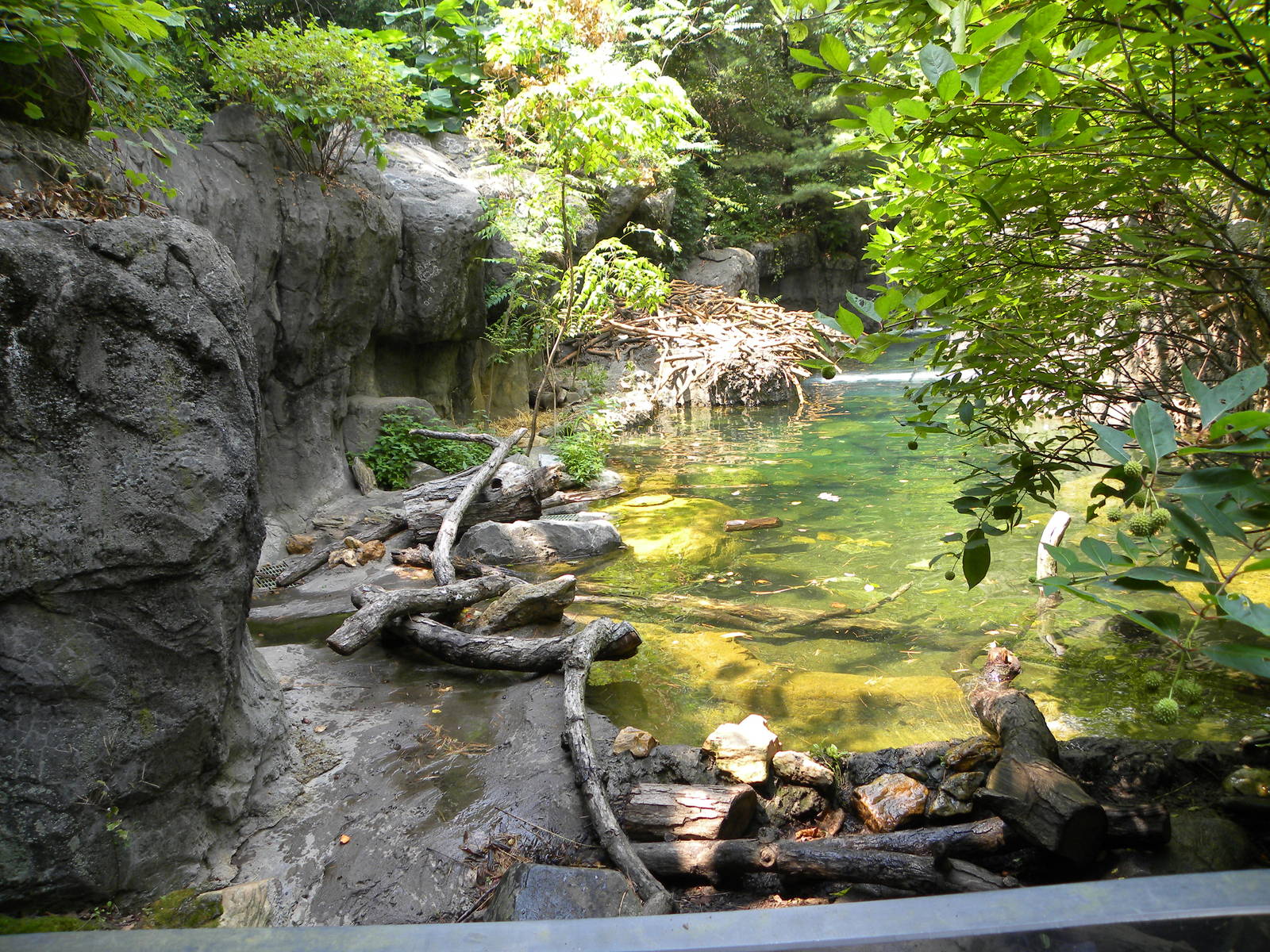 Maryland Wilderness: Best Otter Exhibit?