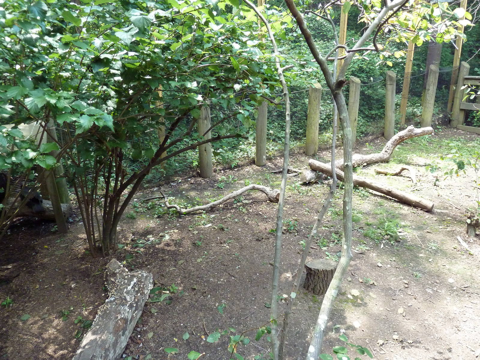 Maryland Wilderness - Black Vulture Exhibit