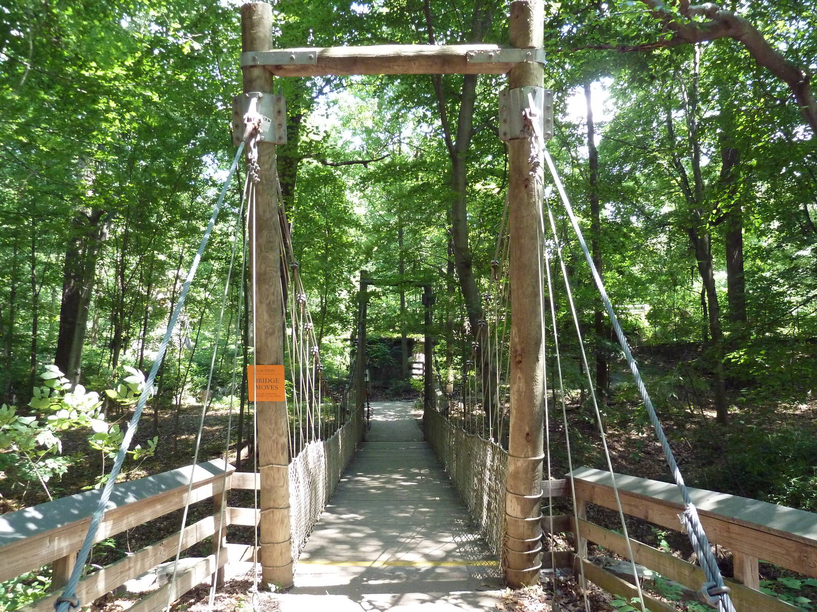 Maryland Wilderness - Bridge