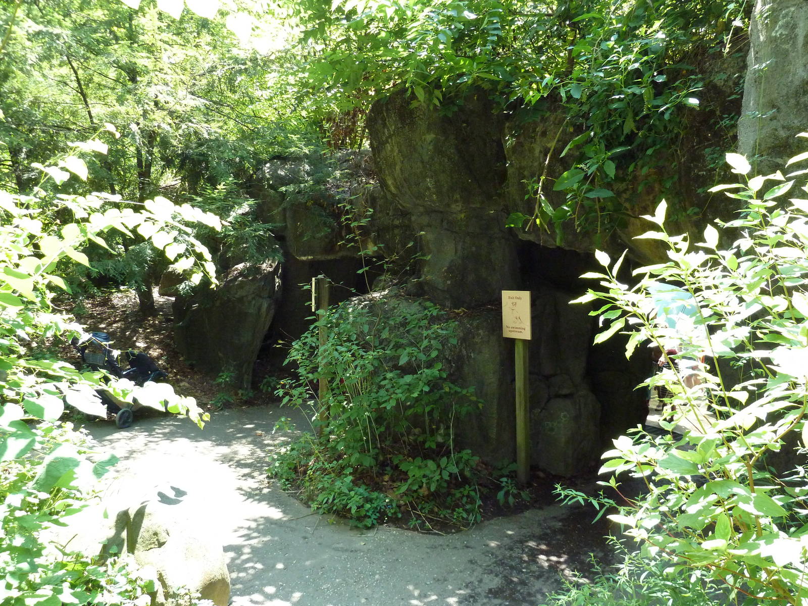 Maryland Wilderness - Cave