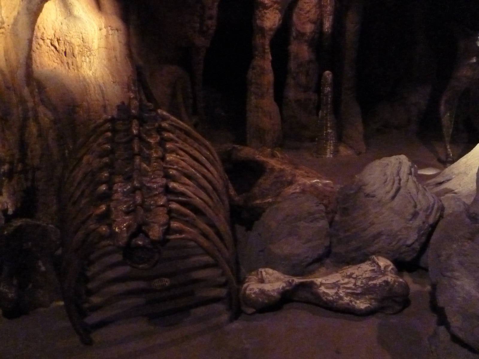 Maryland Wilderness - Cave