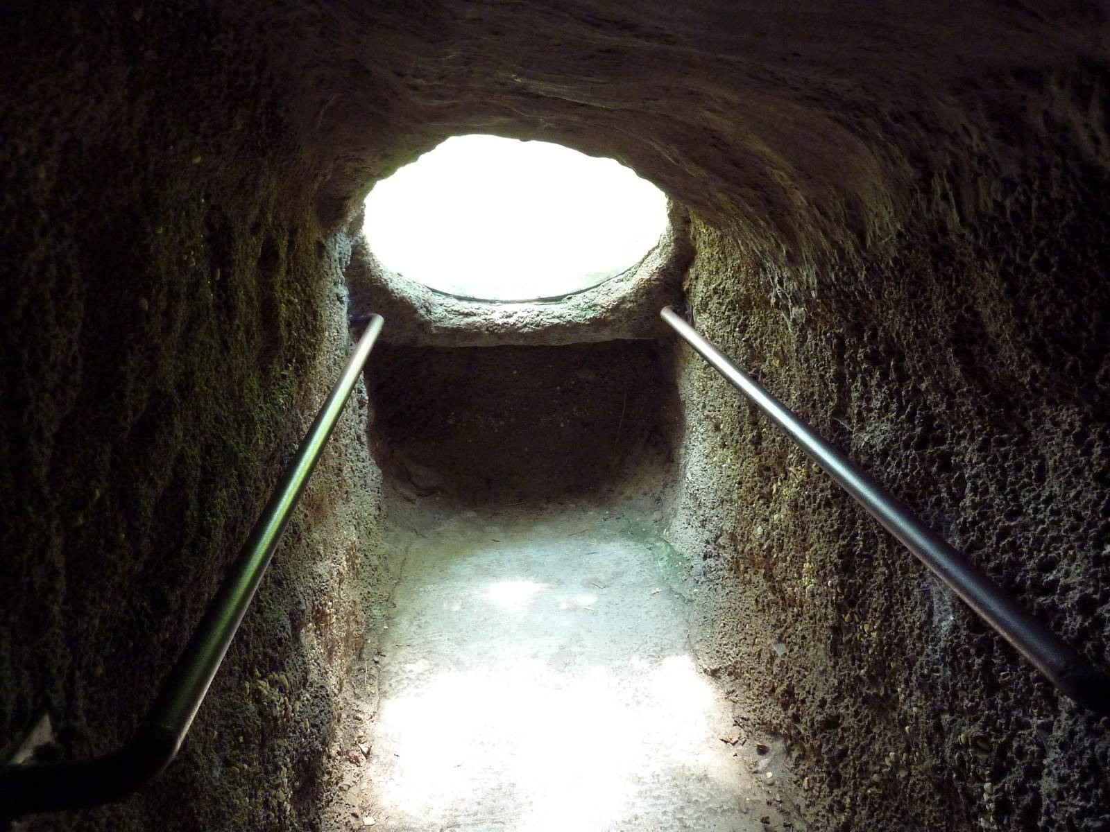 Maryland Wilderness - Eastern Box Turtle Exhibit (Pop Up Bubble)