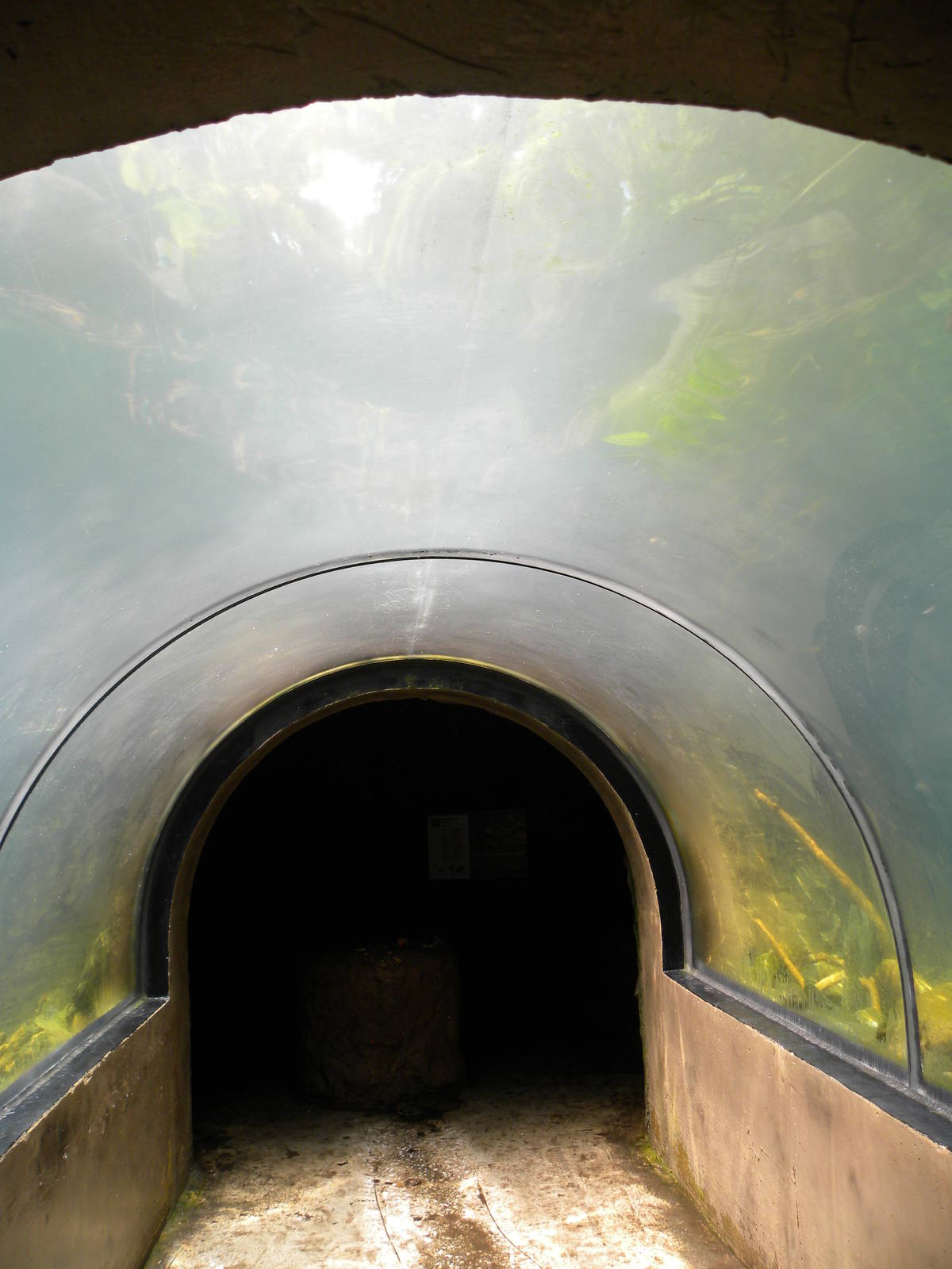 Maryland Wilderness: Otter Tunnel