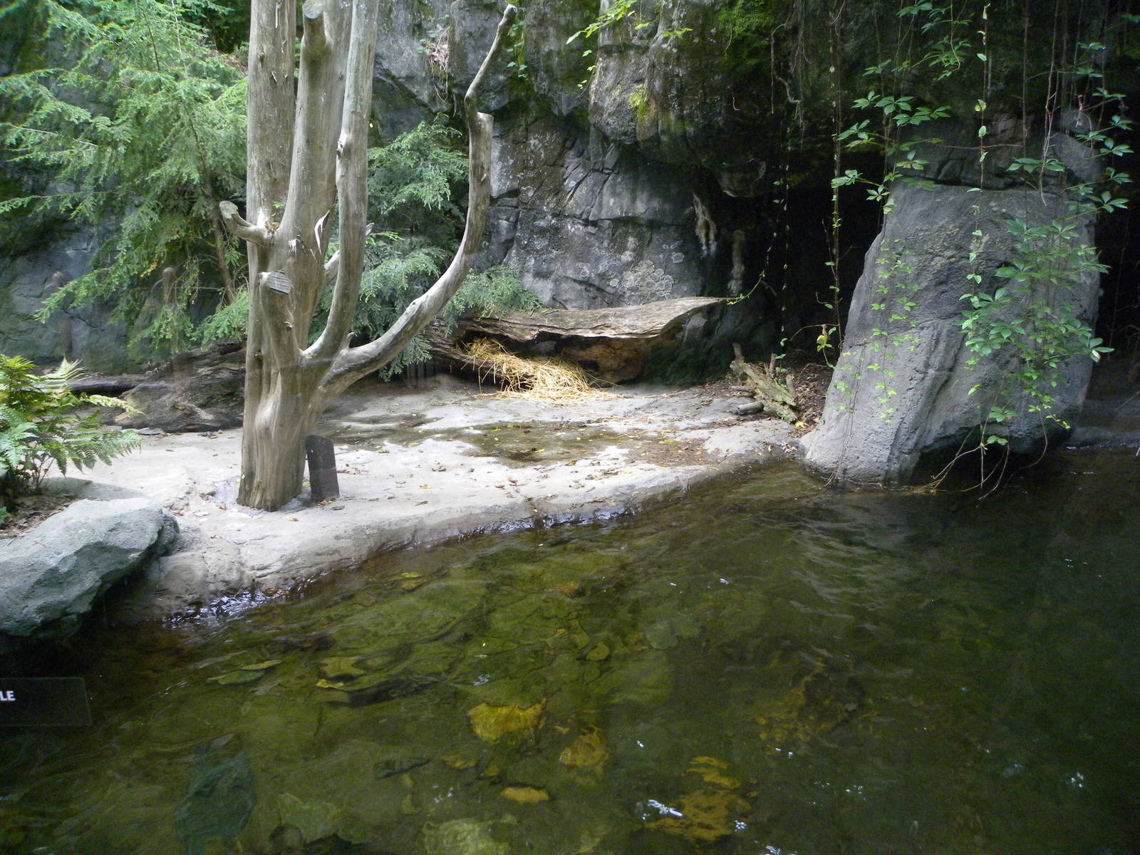 Maryland Wilderness: Red Fox/Snapping Turtle Exhibit