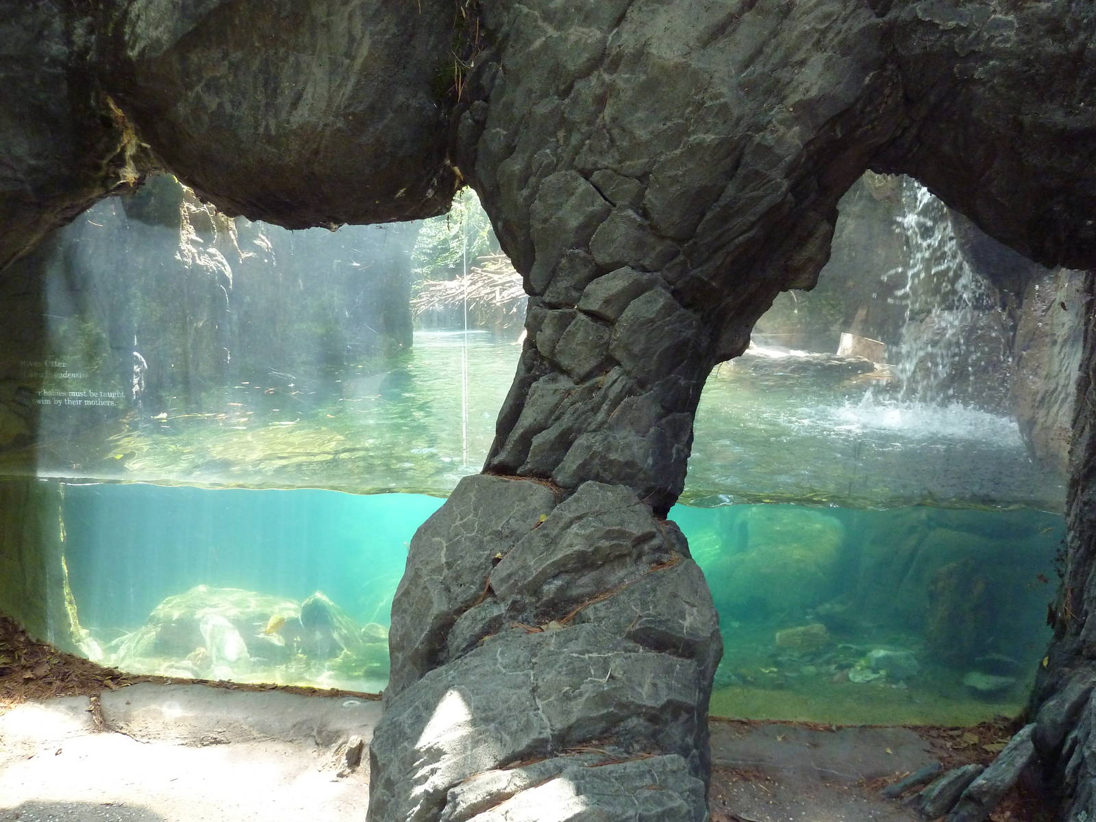 Maryland Wilderness - River Otter Exhibit