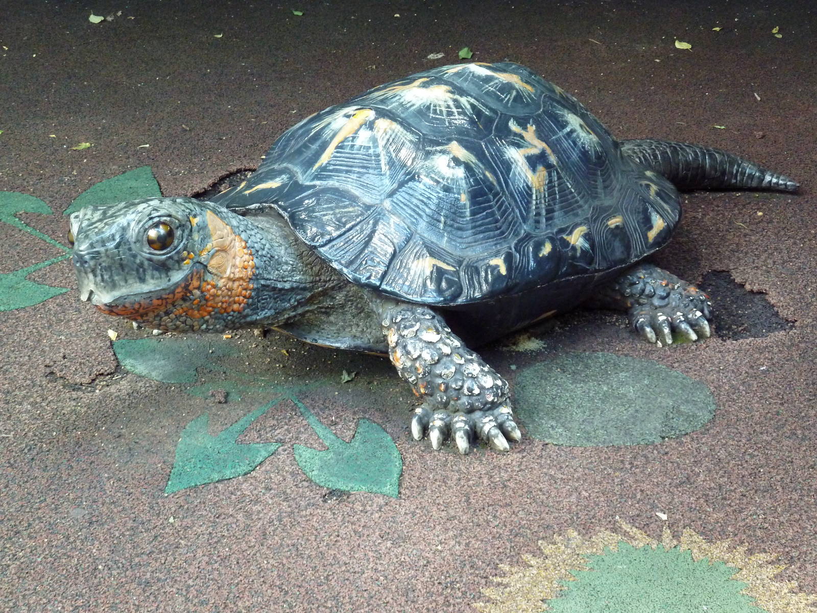 Maryland Wilderness - Turtle Statue