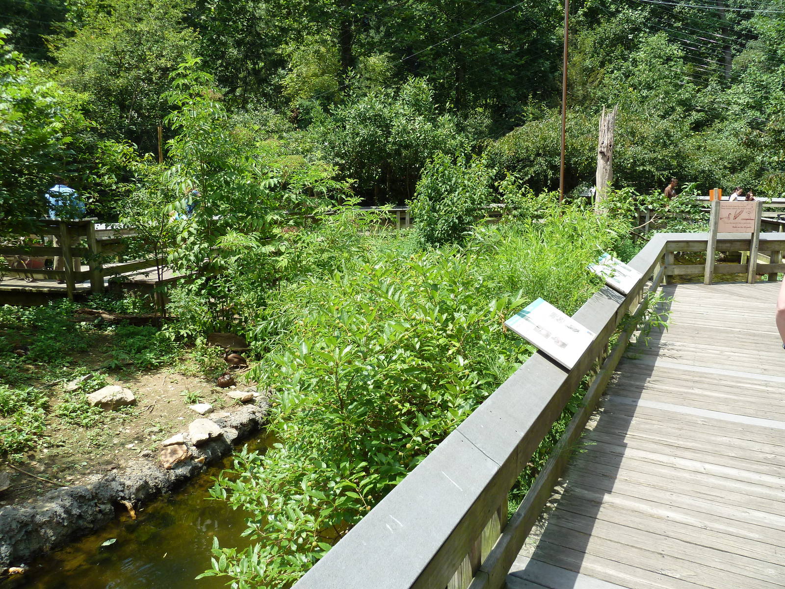 Maryland Wilderness - Walk-Through Marsh Aviary
