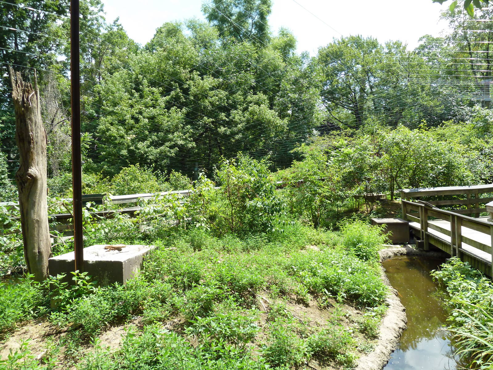 Maryland Wilderness - Walk-Through Marsh Aviary