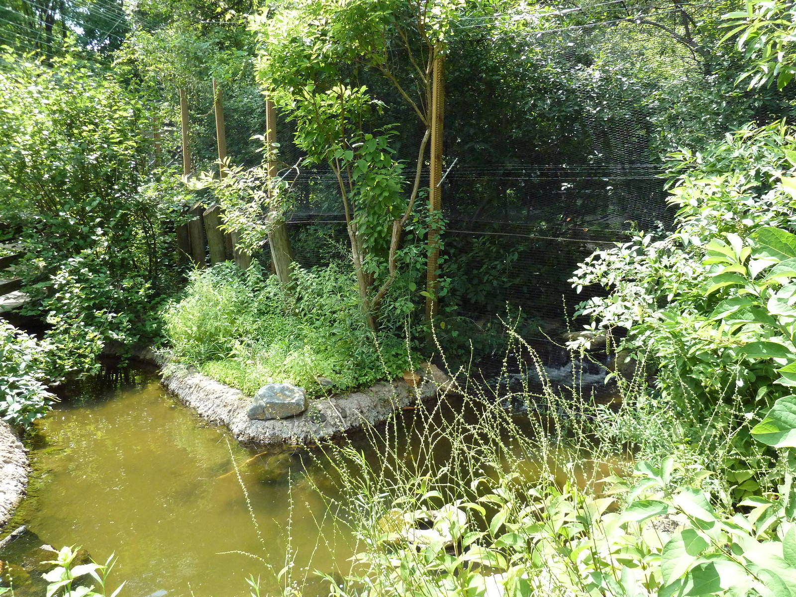 Maryland Wilderness - Walk-Through Marsh Aviary