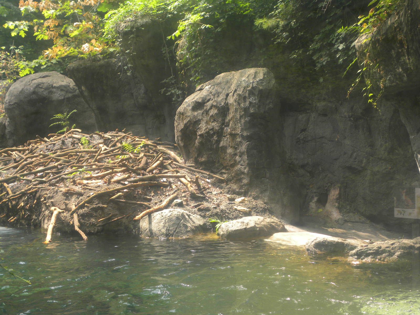 Maryland Wilderness: