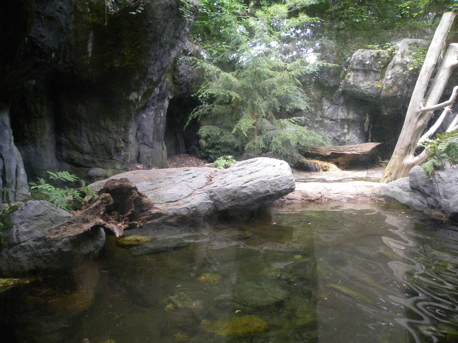 Maryland Wilderness: