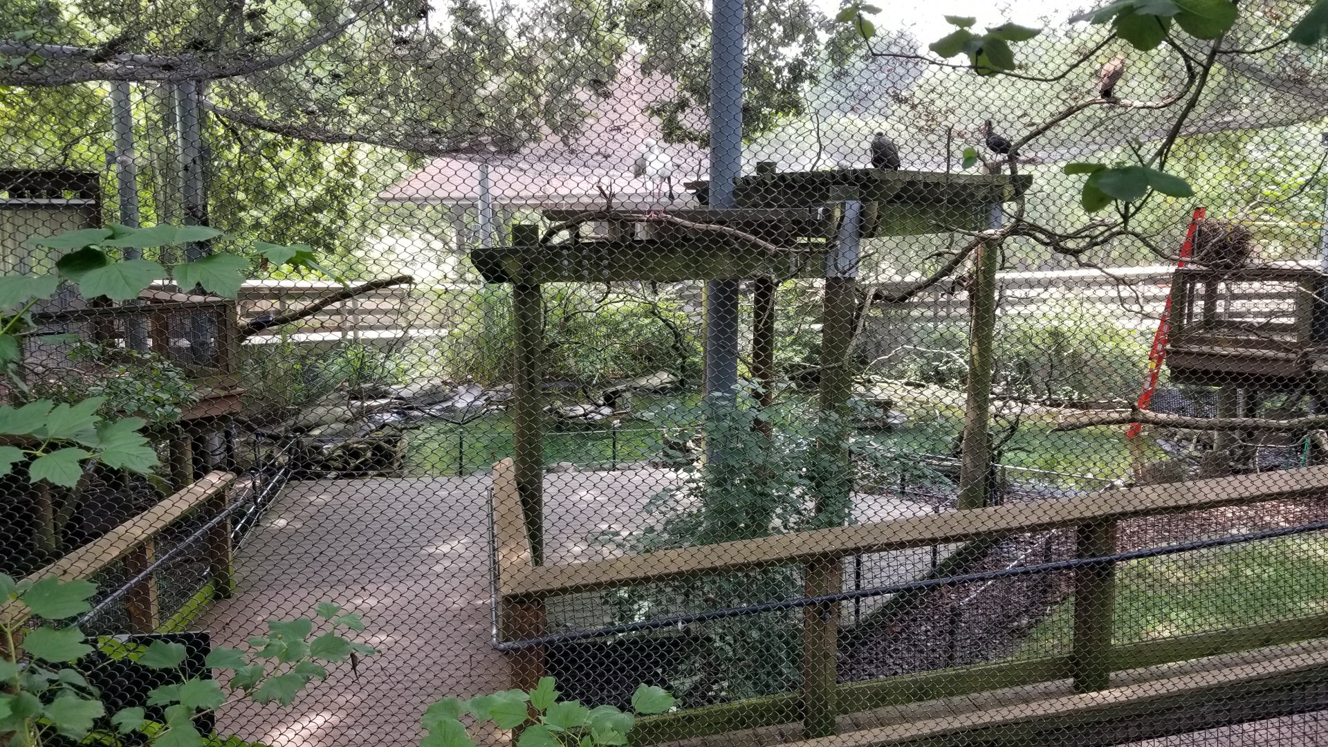 Maryland Zoo - African aviary