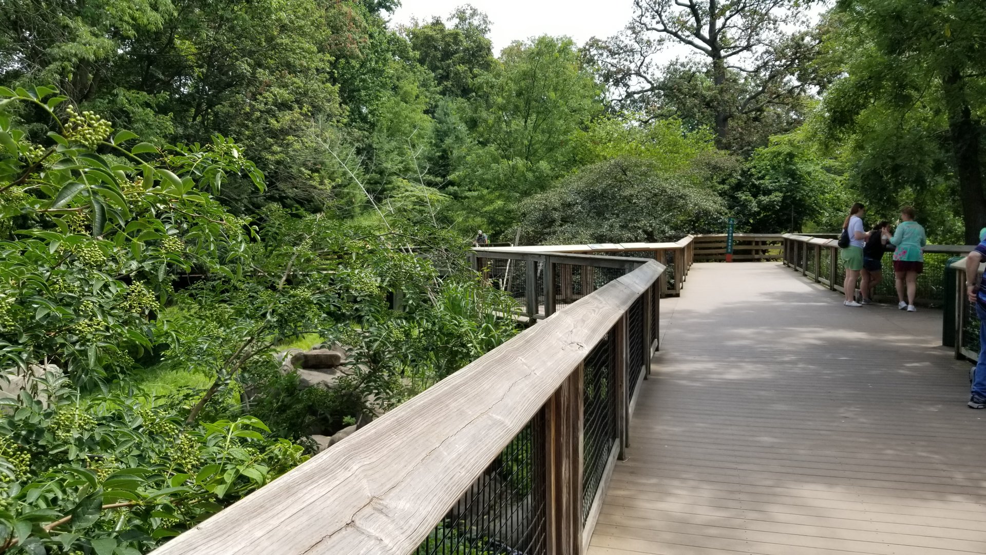 Maryland Zoo - African Journey path