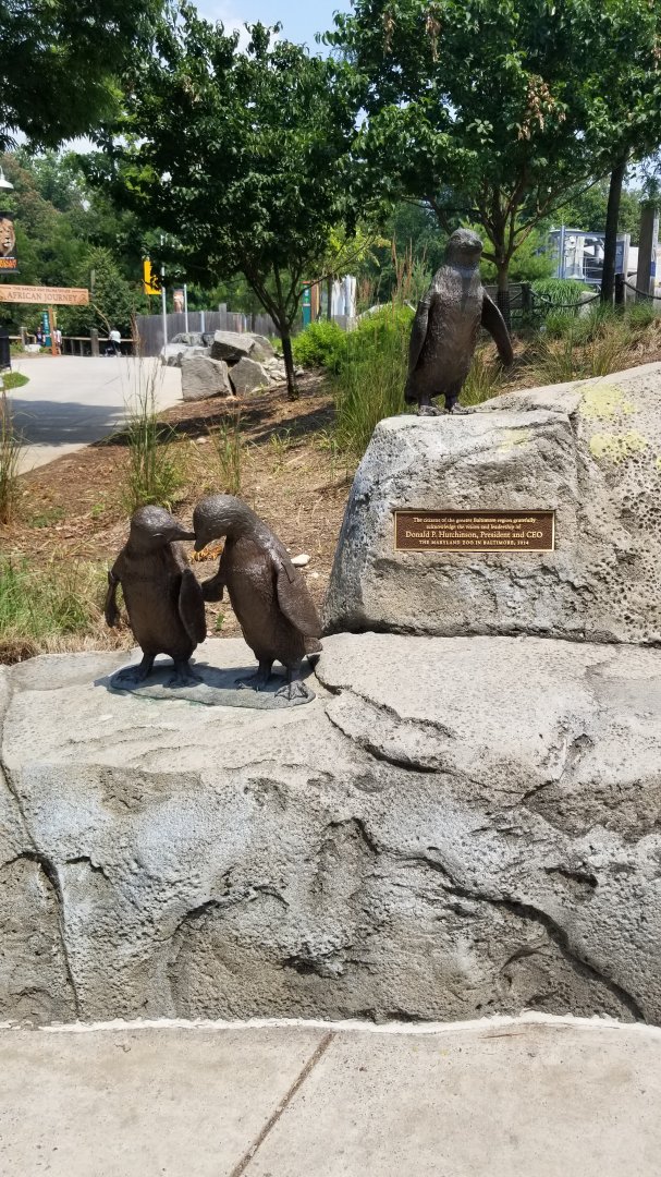 Maryland Zoo - African penguin statue