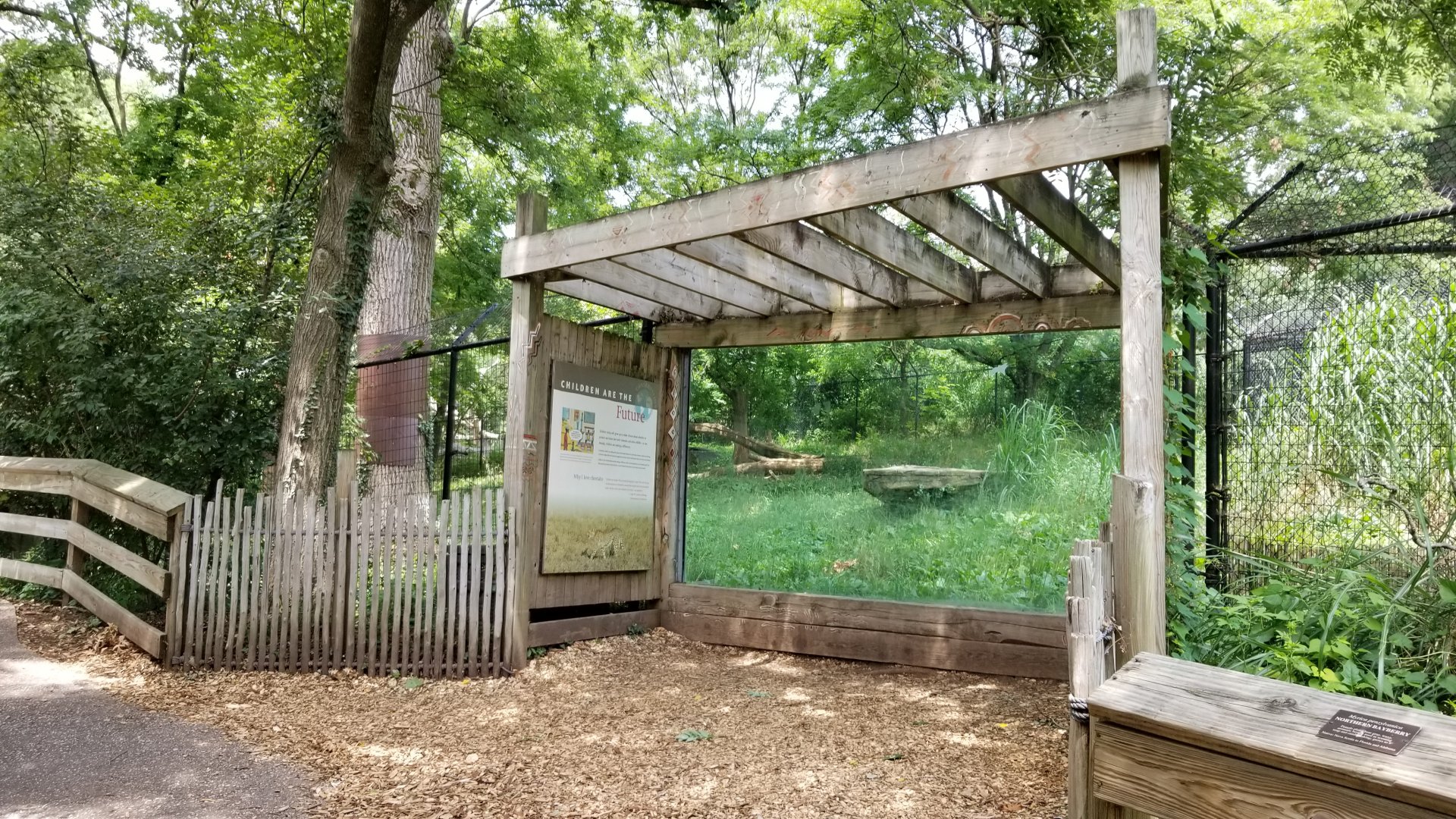 Maryland Zoo - Cheetahs