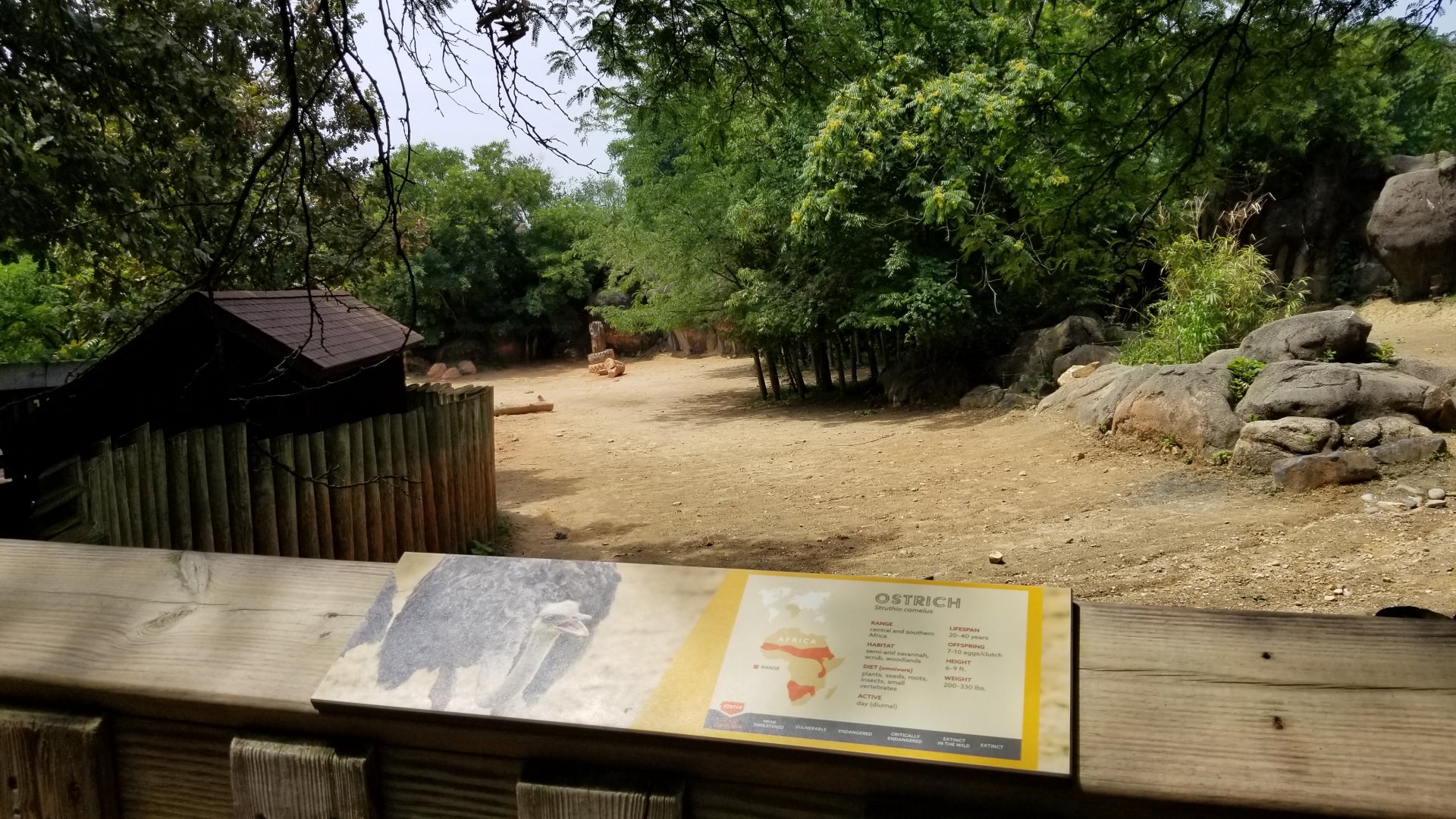 Maryland Zoo - End of rhino, zebra, ostrich yard