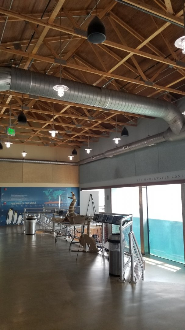 Maryland Zoo - Inside penguin education center