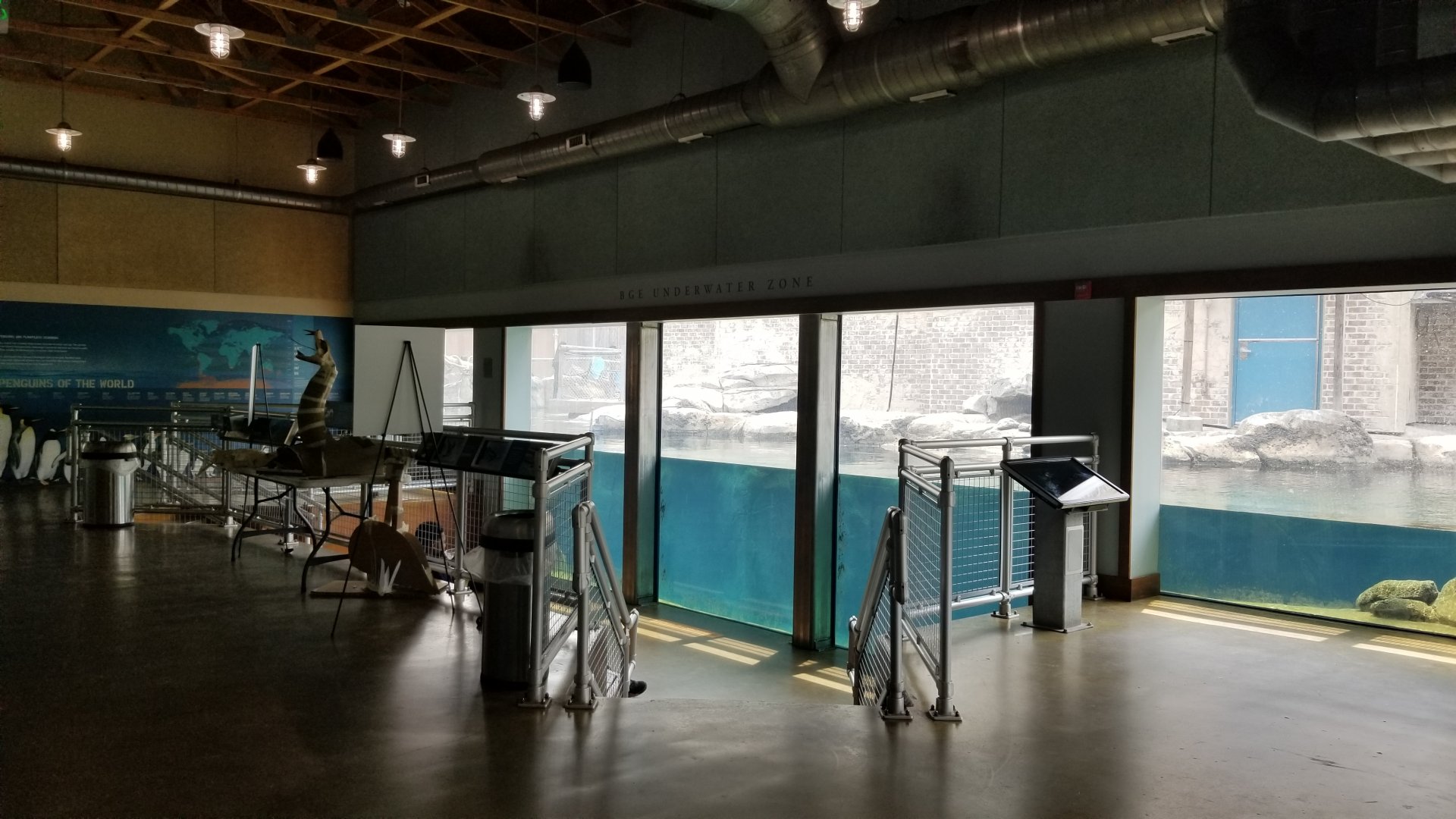 Maryland Zoo - Inside penguin education center