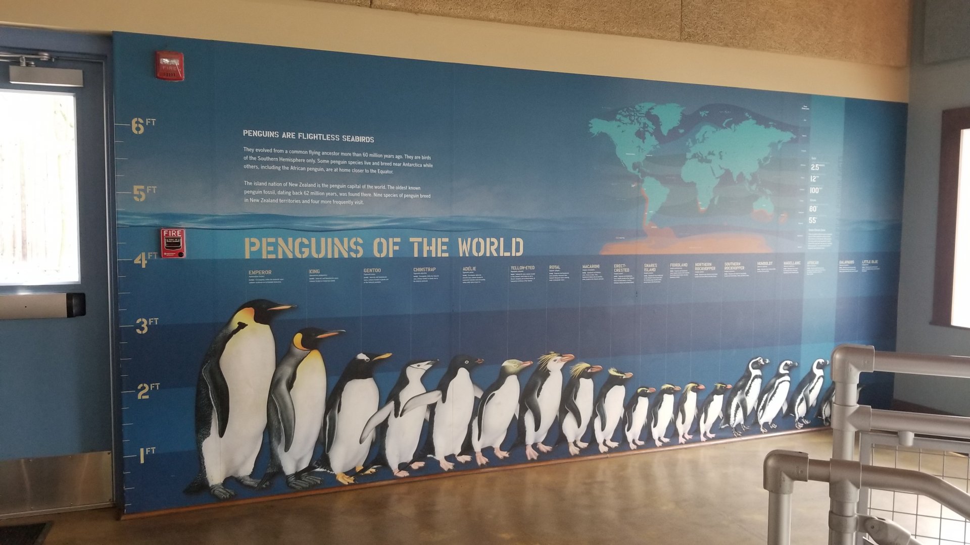 Maryland Zoo - Inside penguin education center