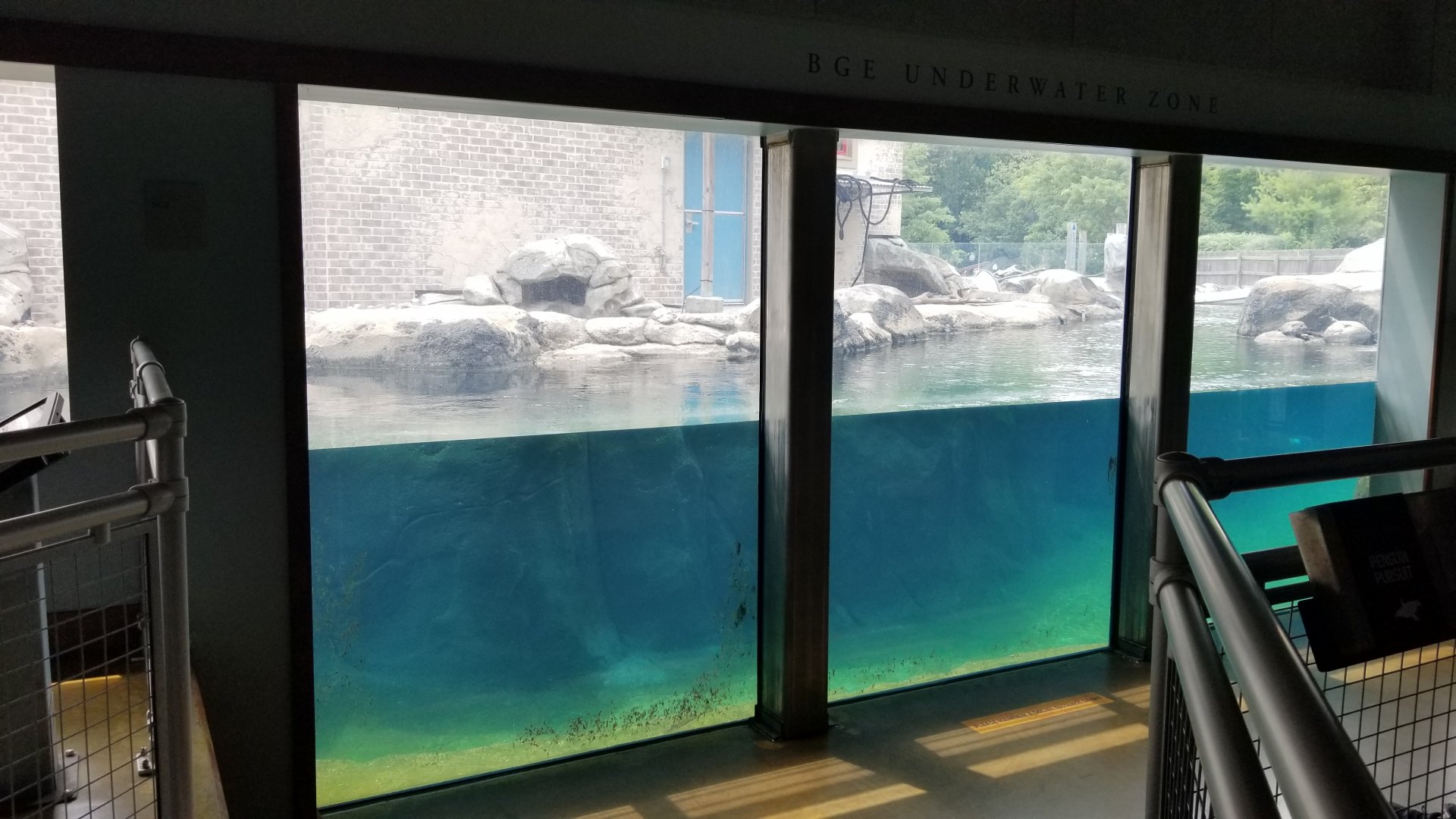 Maryland Zoo - Inside penguin education center