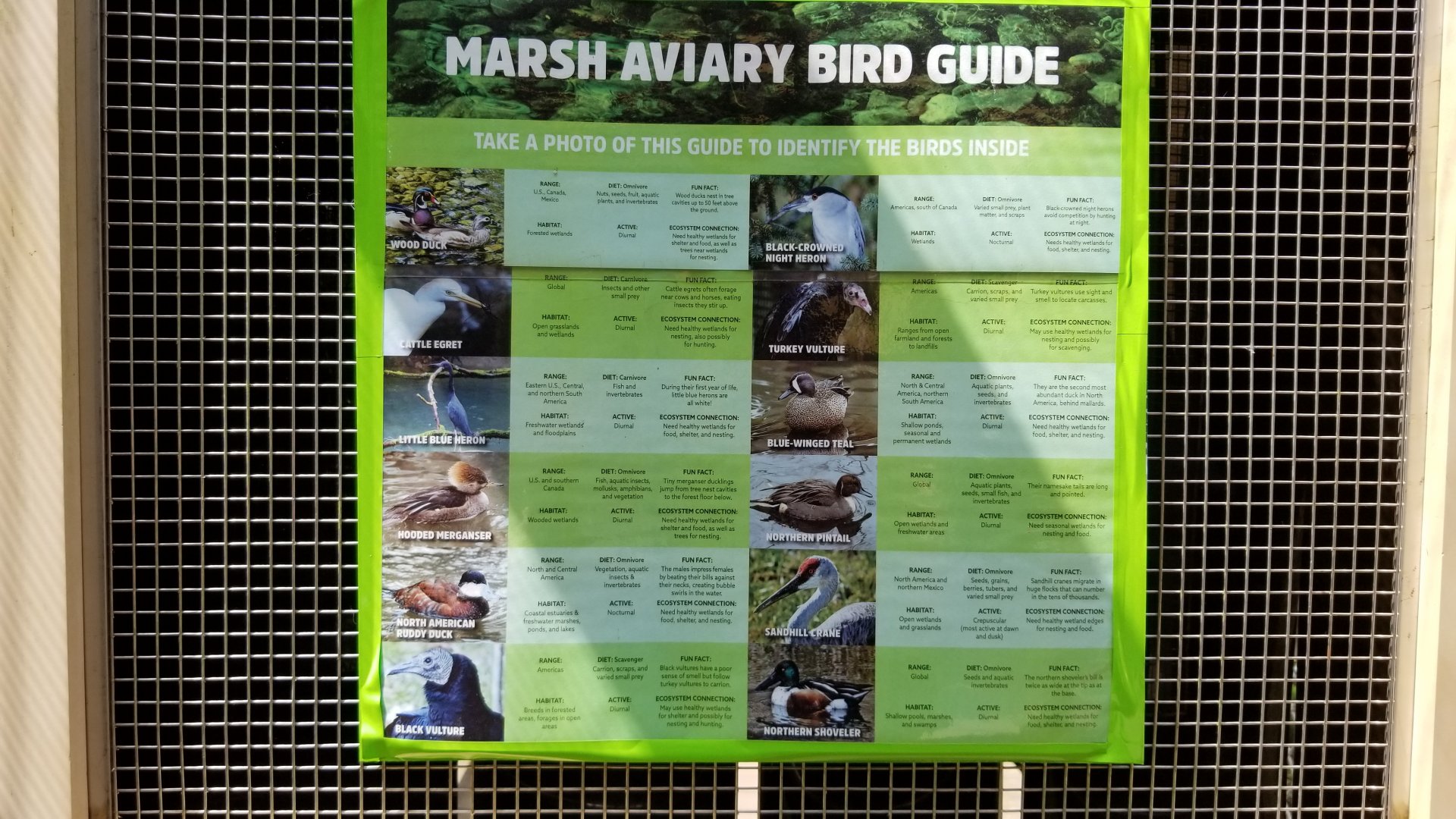 Maryland Zoo - Maryland Aviary