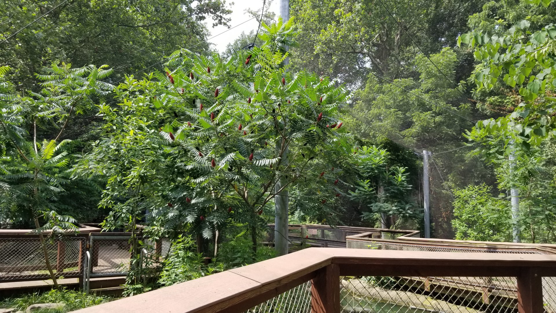 Maryland Zoo - Maryland Aviary