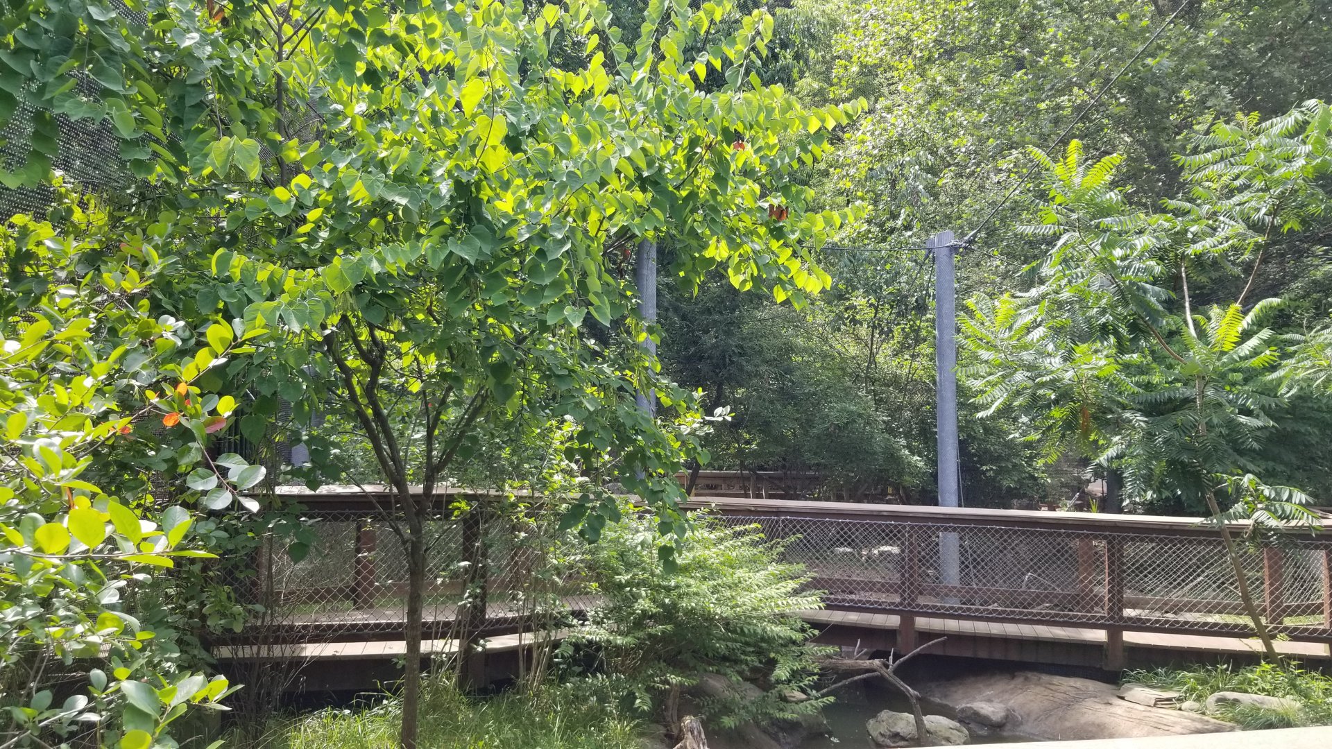 Maryland Zoo - Maryland Aviary