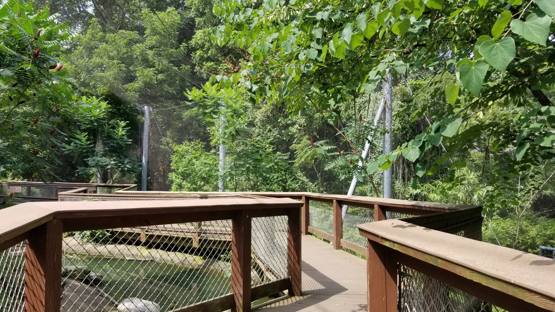 Maryland Zoo - Maryland Aviary