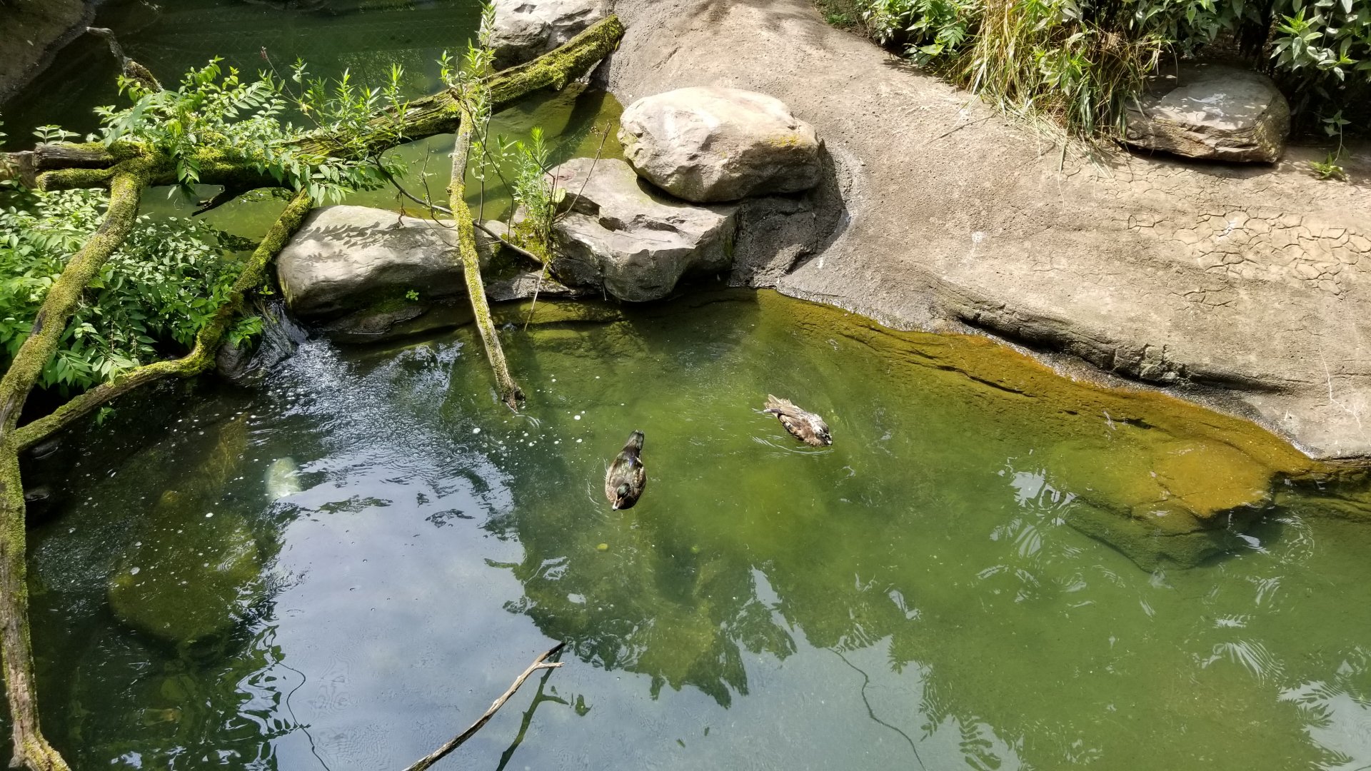Maryland Zoo - Maryland Aviary