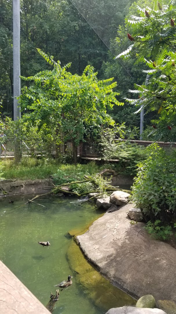 Maryland Zoo - Maryland Aviary