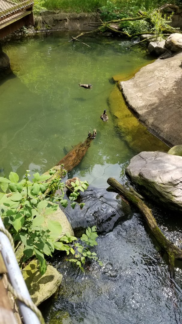 Maryland Zoo - Maryland Aviary