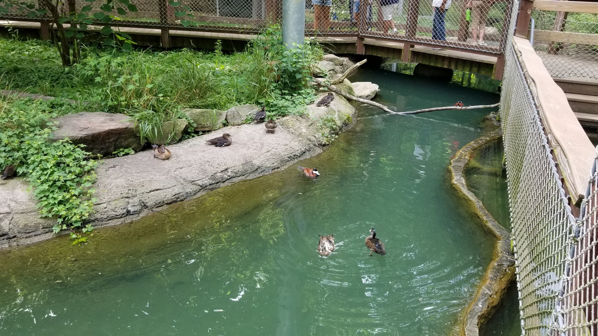 Maryland Zoo - Maryland Aviary