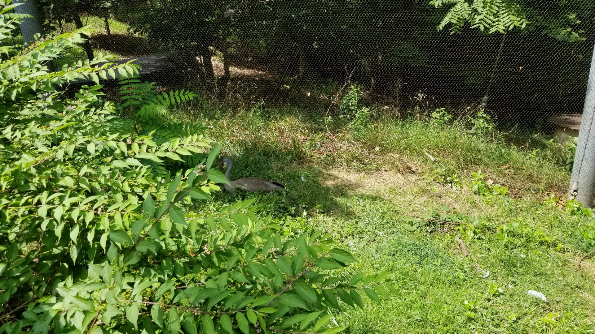 Maryland Zoo - Maryland Aviary