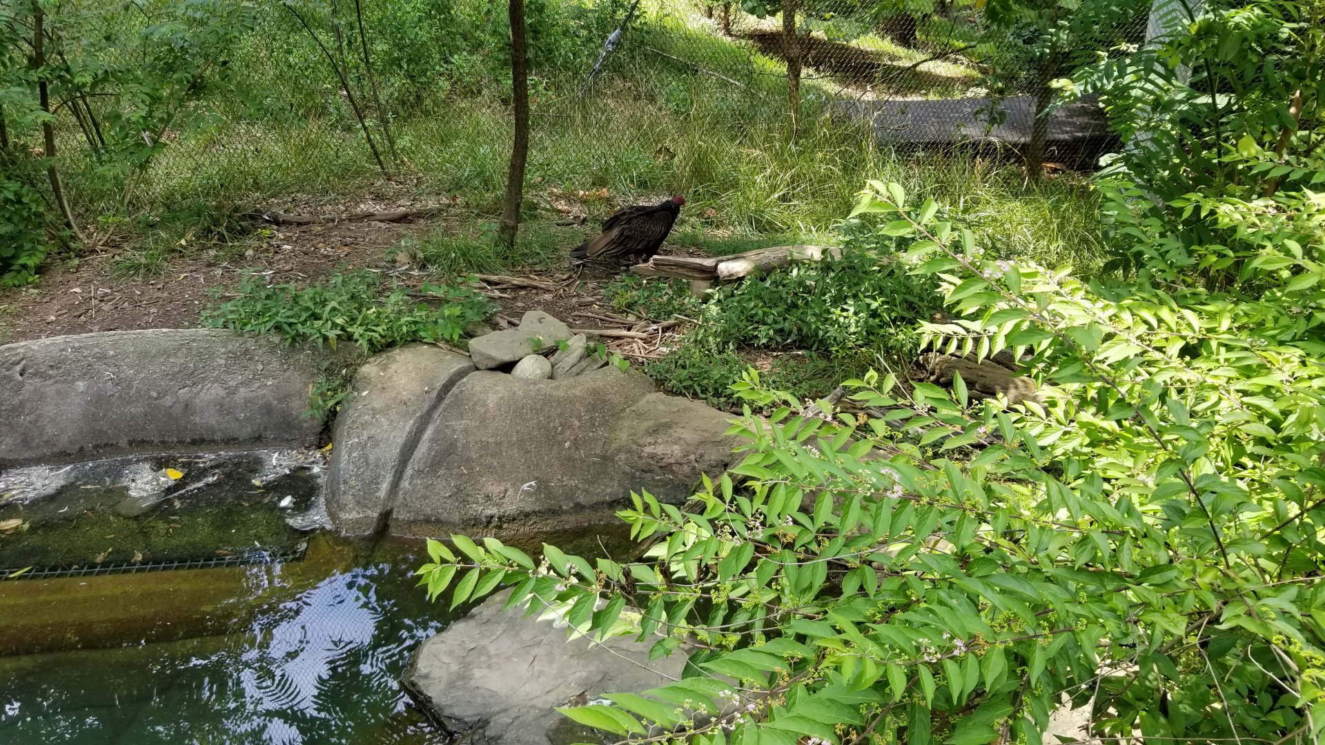 Maryland Zoo - Maryland Aviary