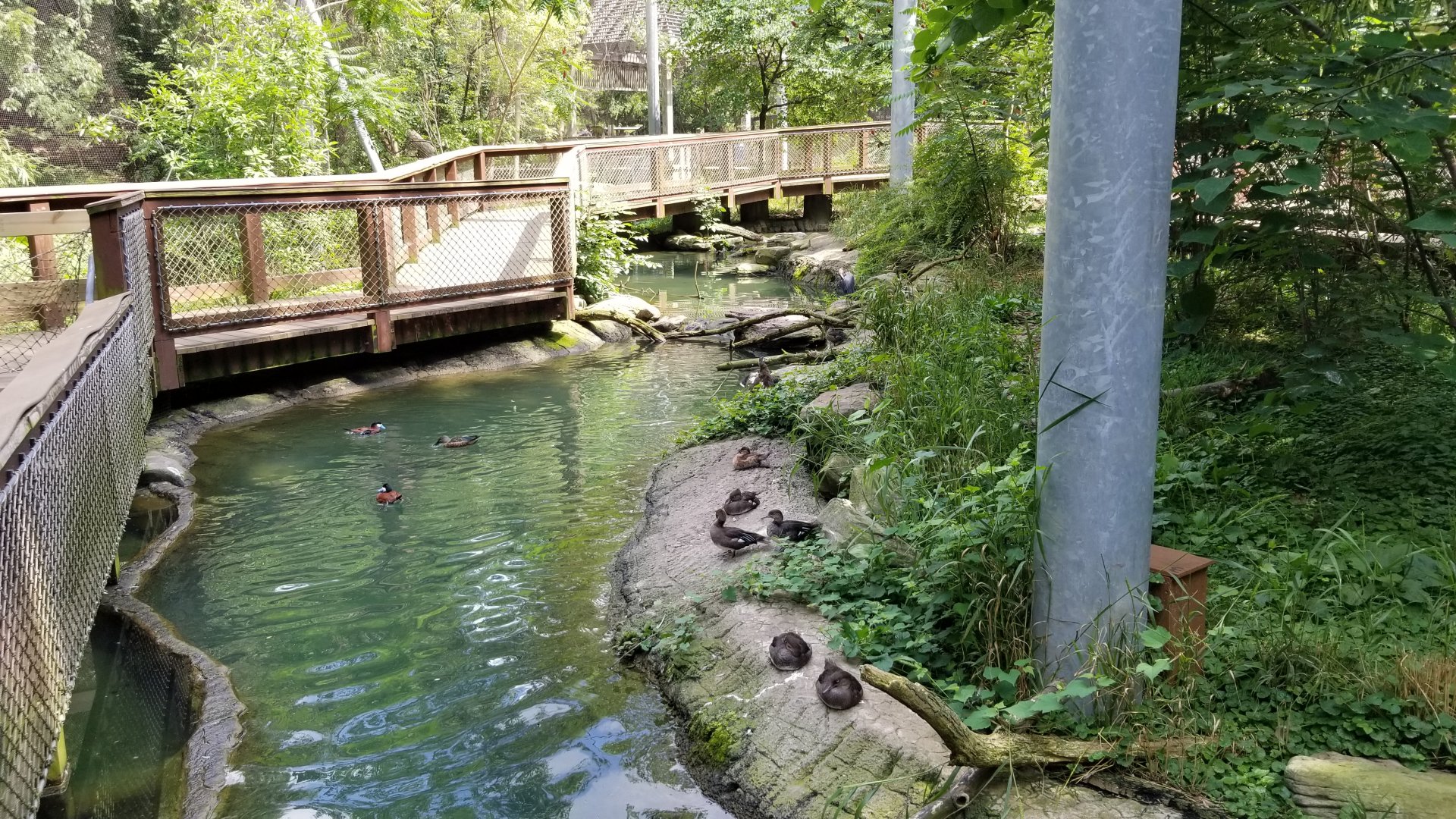 Maryland Zoo - Maryland Aviary