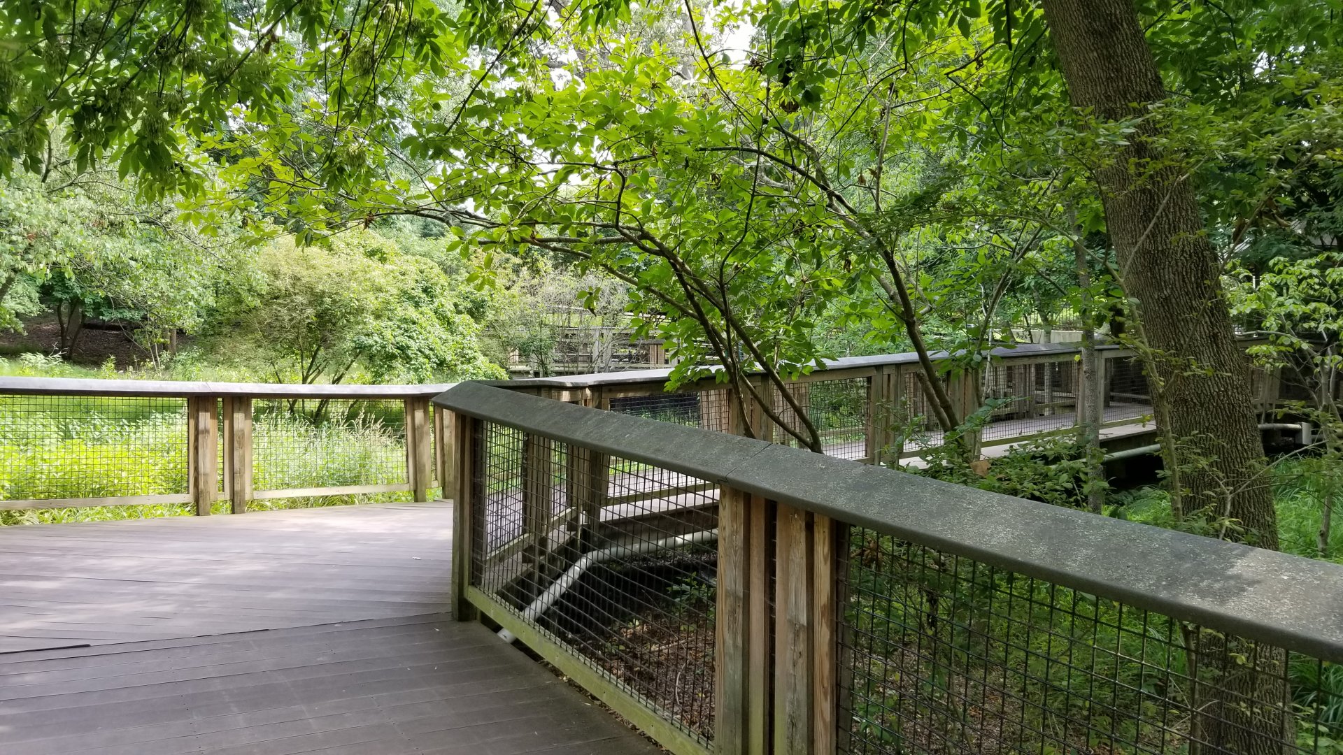 Maryland Zoo - Maryland Wilderness ramps