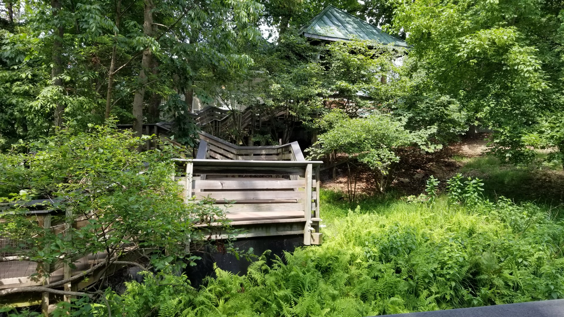 Maryland Zoo - Maryland Wilderness stairs