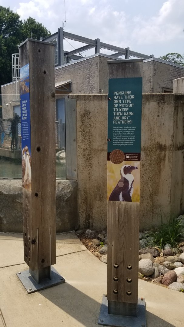 Maryland Zoo - Penguin Coast