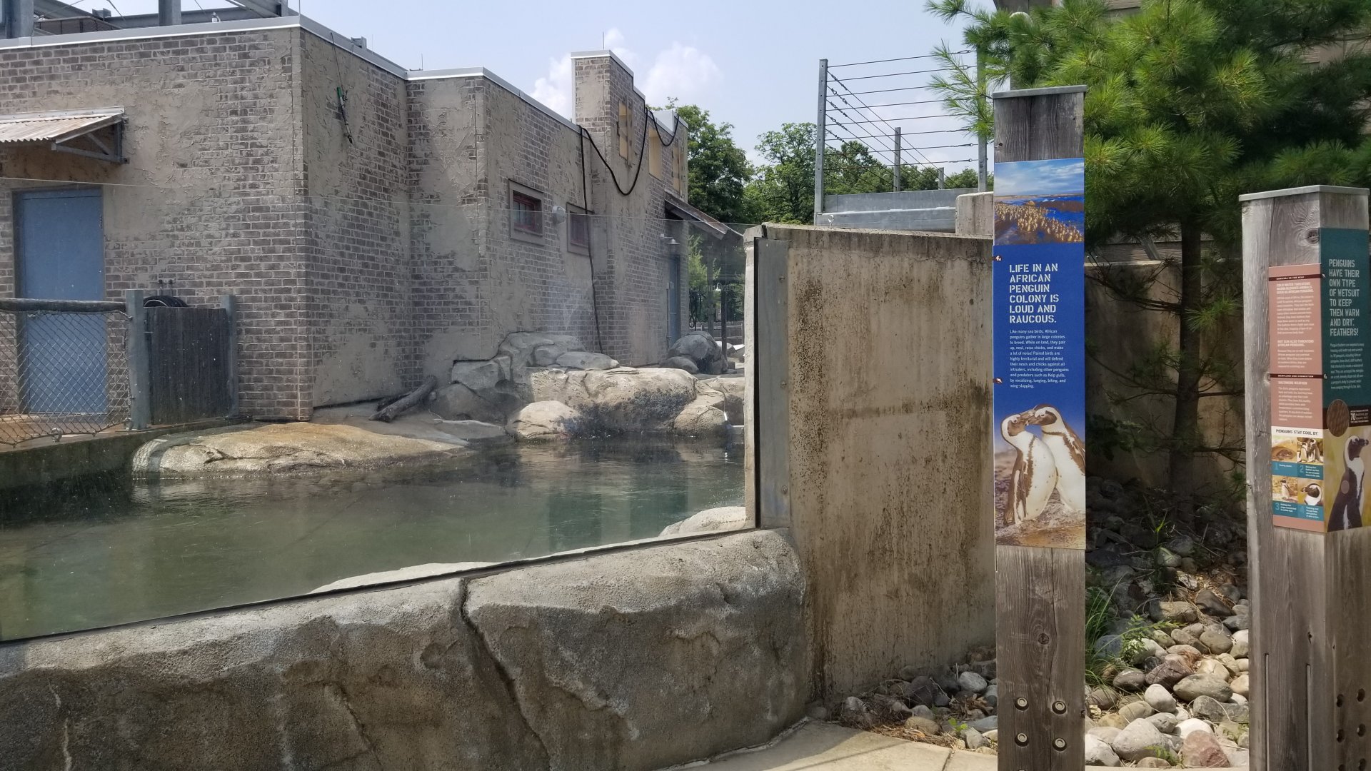 Maryland Zoo - Penguin Coast
