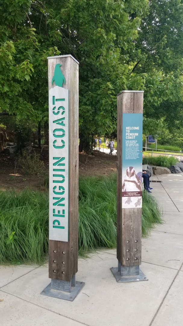 Maryland Zoo - Penguin Coast