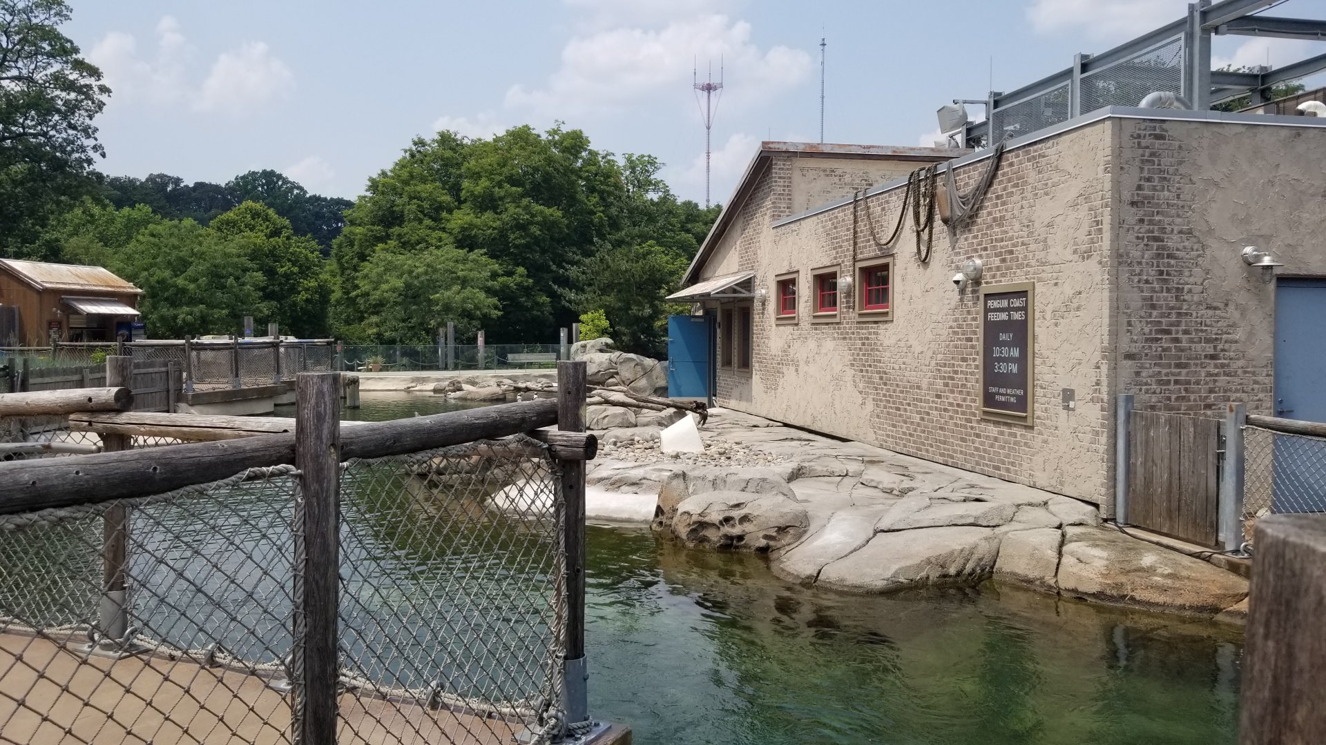 Maryland Zoo - Penguin Coast