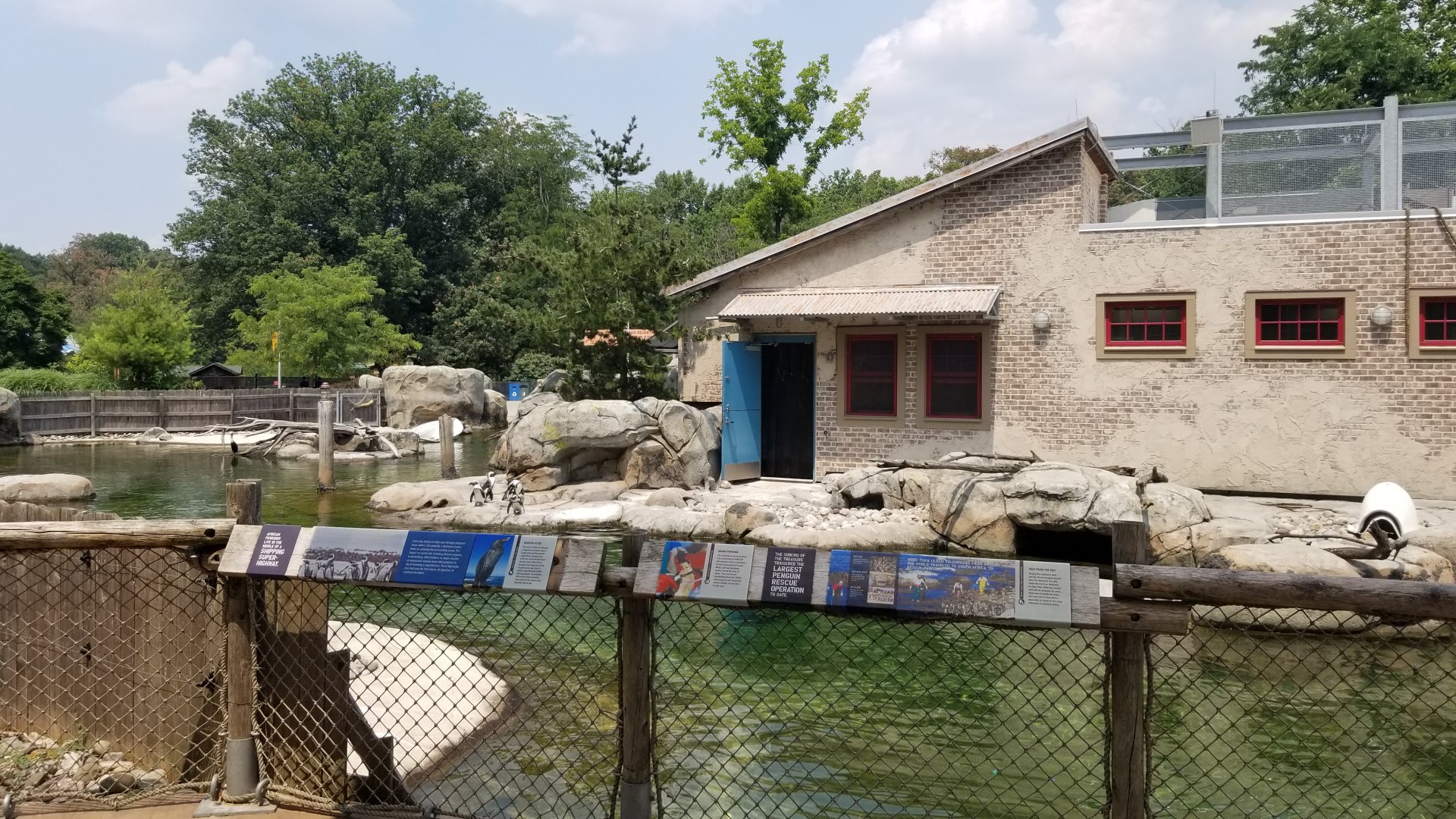 Maryland Zoo - Penguin Coast