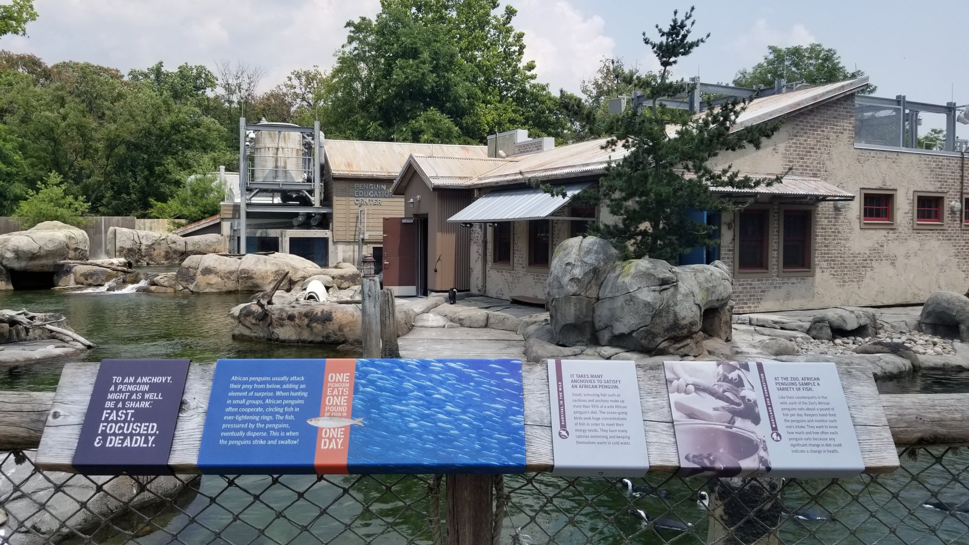 Maryland Zoo - Penguin Coast