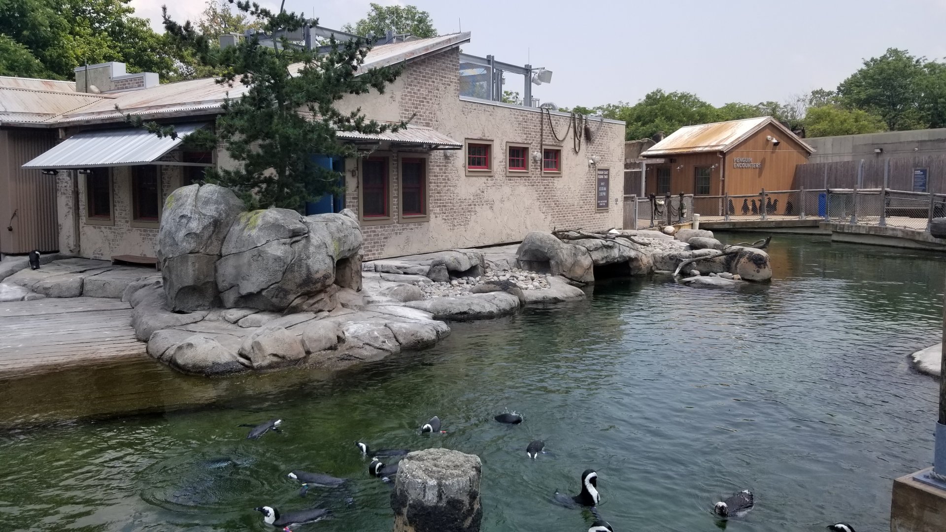 Maryland Zoo - Penguin Coast