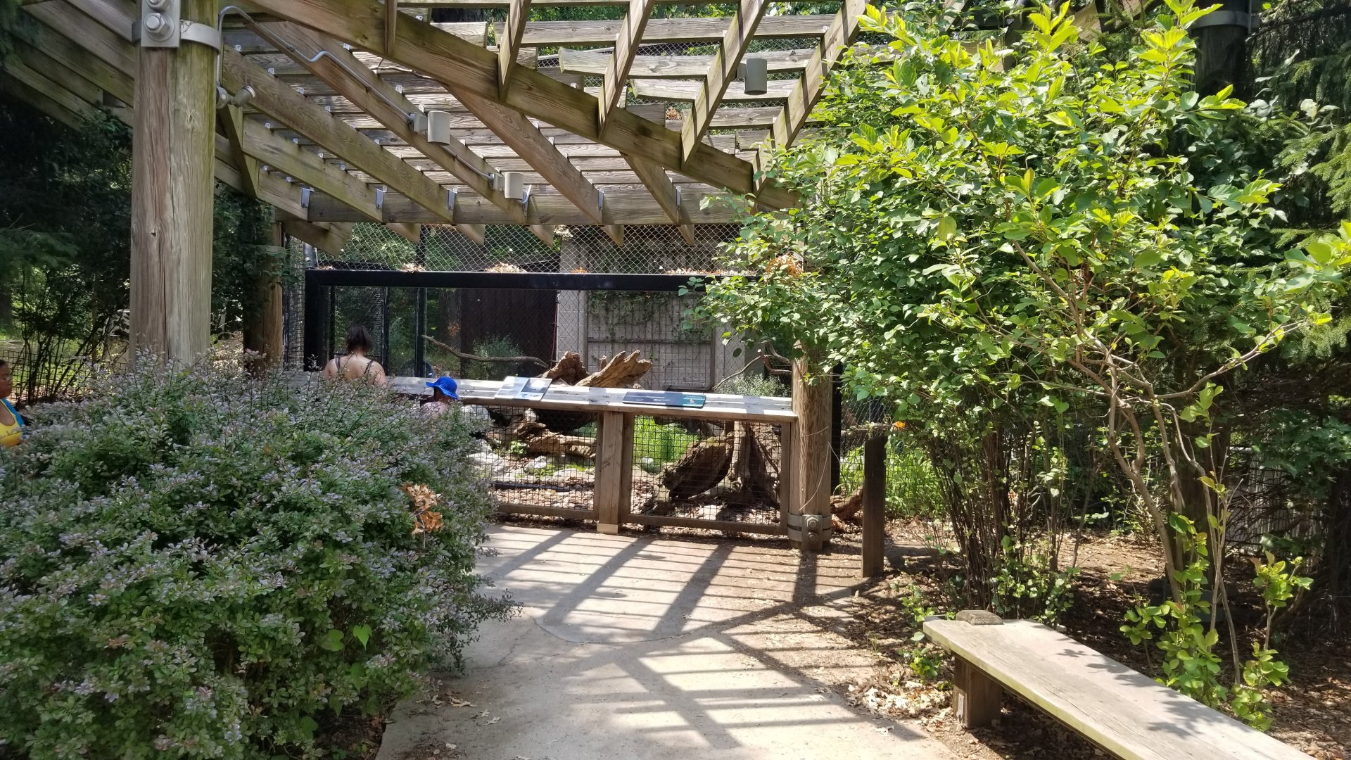 Maryland Zoo - Polar Bear Watch, Bald eagle exhibit (formerly arctic fox)